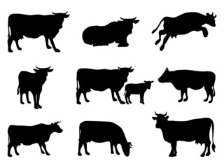 collection set of Cow and calf silhouette isolated on white background Vector 