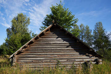 Fototapeta na wymiar Abandoned overgrown with trees and grass wooden old ruined barn in a field in a Russian village