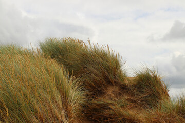 Shot from deep within Saunton sand dunes