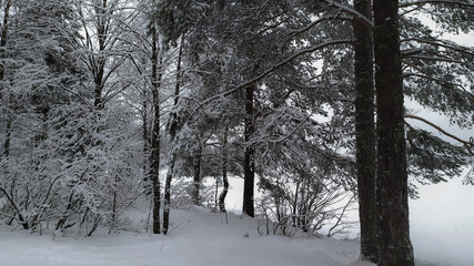 Russia, Karelia, Kostomuksha. The road in the forest along the shore of the lake.  December 24, 2020.