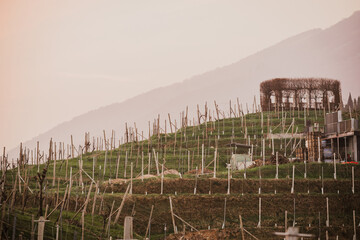 Valdobbiadene, Italy, the way of the Prosecco wine. Unesco world heritage