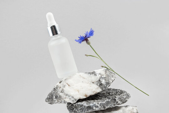 Anti-aging Collagen, Facial Serum In Transparent Glass Bottle With Pipette On Pile Of Stones And Blue Cornflower Flower Against Grey Background. Natural Organic Spa Cosmetic Beauty Concept