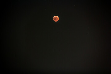 Lunar Eclipse 