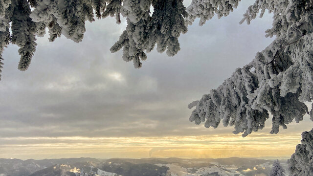 Der sch&ouml;nste Berg im Schwarzwald - Der Belchen