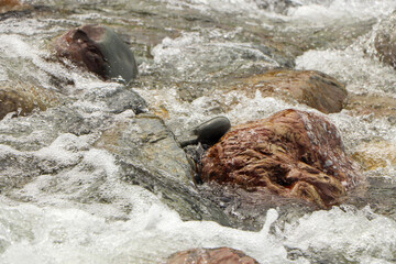 Heddon river flowing through the valley and over rocky ground
