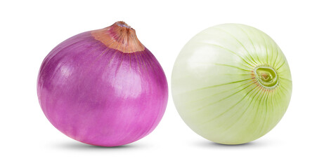 onion on white background