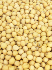 Soy beans background 