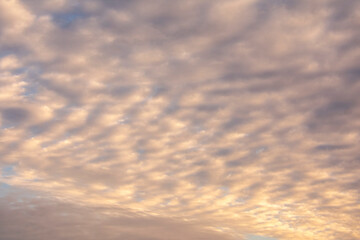 Cloudscape of bright cirrus clouds in the European Berlin Sky Germany