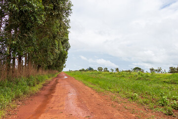 Fototapeta na wymiar Estrada de terra molhada entre vegetação e céu nublado.