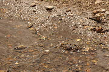 Ground level close up of mud and water sloshing down a stream