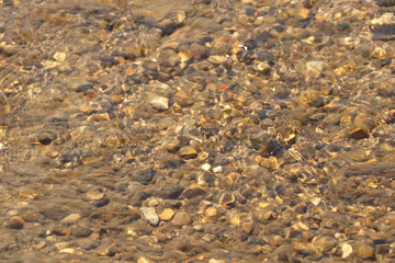 Ground level close up of mud and water sloshing down a stream