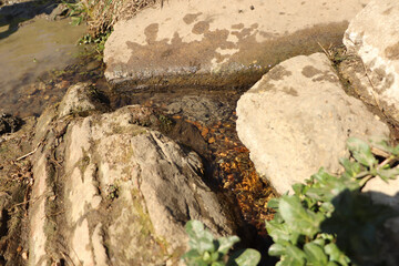 Ground level close up of mud and water sloshing down a stream