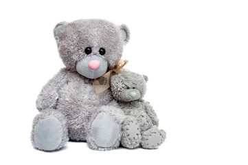 Teddy bears of gray color on a white background