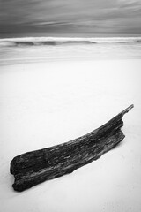 Treibholz am Strand vom Topsail Hill Reserve