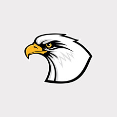 Hand drawn of Eagle head , Eagle mascot for t-shirt , Sport wear ,logo, emblem graphic, athletic apparel stamp