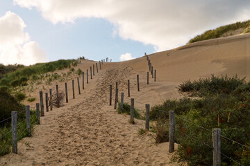 Fototapeta na wymiar Way to the beach over the Dunes with marram grass ,Bloemendaal aan Zee, Holland, Netherlands