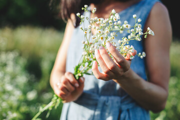 Beautiful girl with a bouquet of wildflowers on a meadow in sunlight.