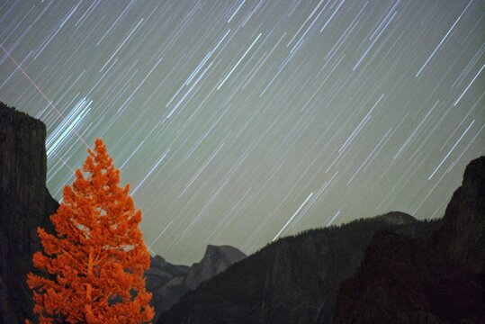 Star Trail In Yosemite National Park