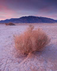 Sonnenaufgang in den Mesquite Flat Dunes