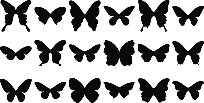 Set of butterflies isolated.  Butterfly Silhouettes. Butterfly Template