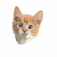 cute kitten portrait