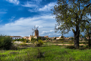 Fototapeta premium Windmühle in Algaida, Mallorca, Spanien