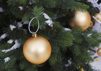 christmas tree branch