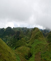 Beautiful view of the green forest and the mountain