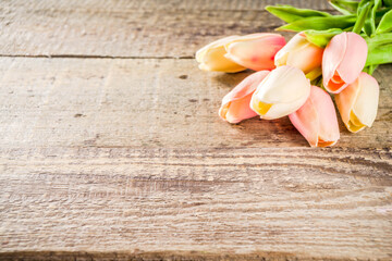 Valentine's day background with tender tulip flowers