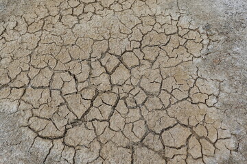 Dry soil and cracked earth 