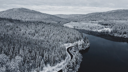 Winter in Forest with Street and Water