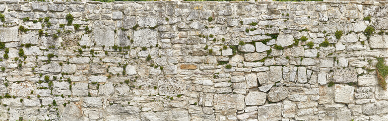 Beautiful overgrown natural stone wall in poster size