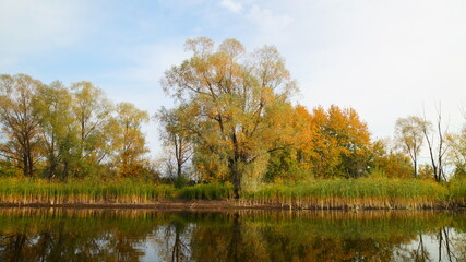 autumn landscape with trees and lake