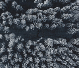 Winter im Wald - Drohne