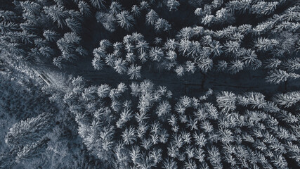 Winter im Wald - Drohne