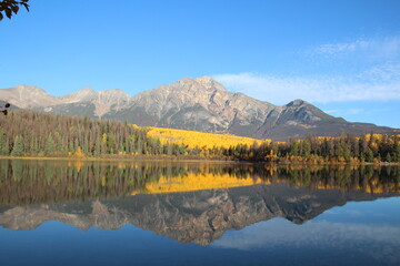 Reflections Of Autumn, Jasper National Park, Alberta
