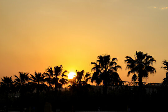 Orange Sunset in izmit seka park