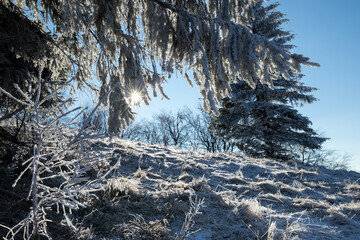Winter sun