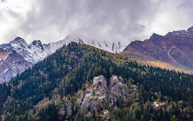 Landscape of Himalayas with Vegetation transition from Montane level to Nival level on slopes of mountains at Chitkul, Sangla Valley, Himachal Pradesh, India.