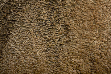 Volcanic Formation Looks Like Brain Coral