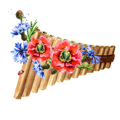 Wooden Pan Flute or panpipe and  flowers. Summer music concept. Hand drawn watercolor illustration isolated on white background