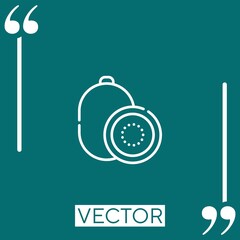 kiwi vector icon Linear icon. Editable stroke line