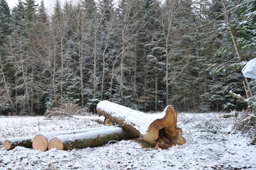 Winterlandschaft...