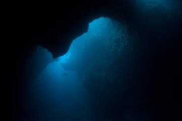 Light seeps into a dark, underwater cavern in the Republic of Palau. This famous dive site is known as "Blue Holes." Palau is known for its extraordinary scuba diving, snorkeling, and kayaking. © ead72