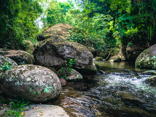 stream in the forest