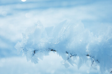 Schneeflocken an einen Ast