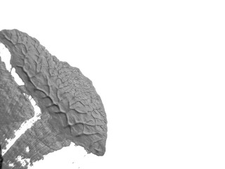 The black white acrylic painting texture background