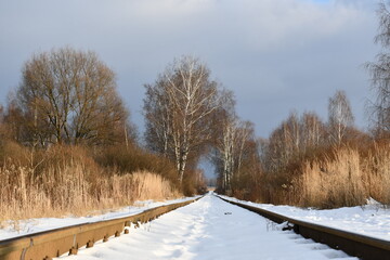 The old railway, going away among bare trees and bushes. Narrow gauge in the snow. Winter landscape.