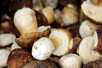 White mushrooms on the market, selective focus. Raw porcini closeup