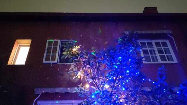 Front face of a house decorated for Christmas. The brick wall has a moving projection and there is a big tree decorated with blue flashing lights.